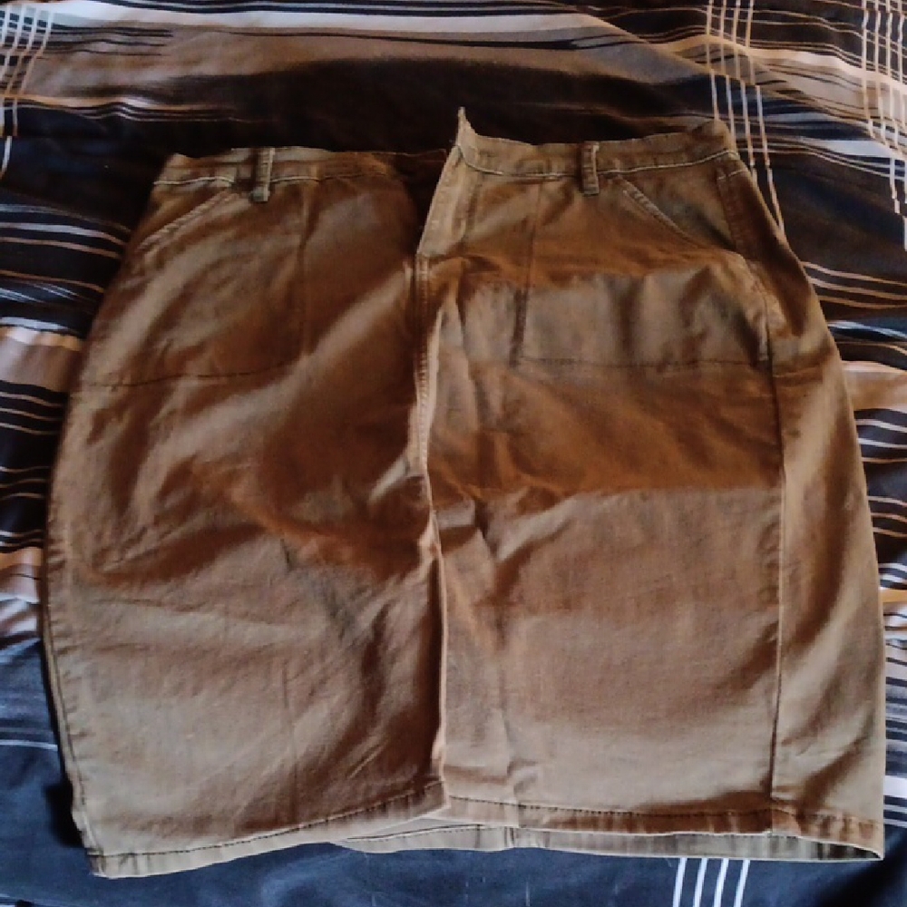 Brown Knee-Length Skirt